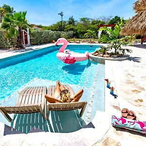 https://kas-amigu-accomodations.comcaribbean.com